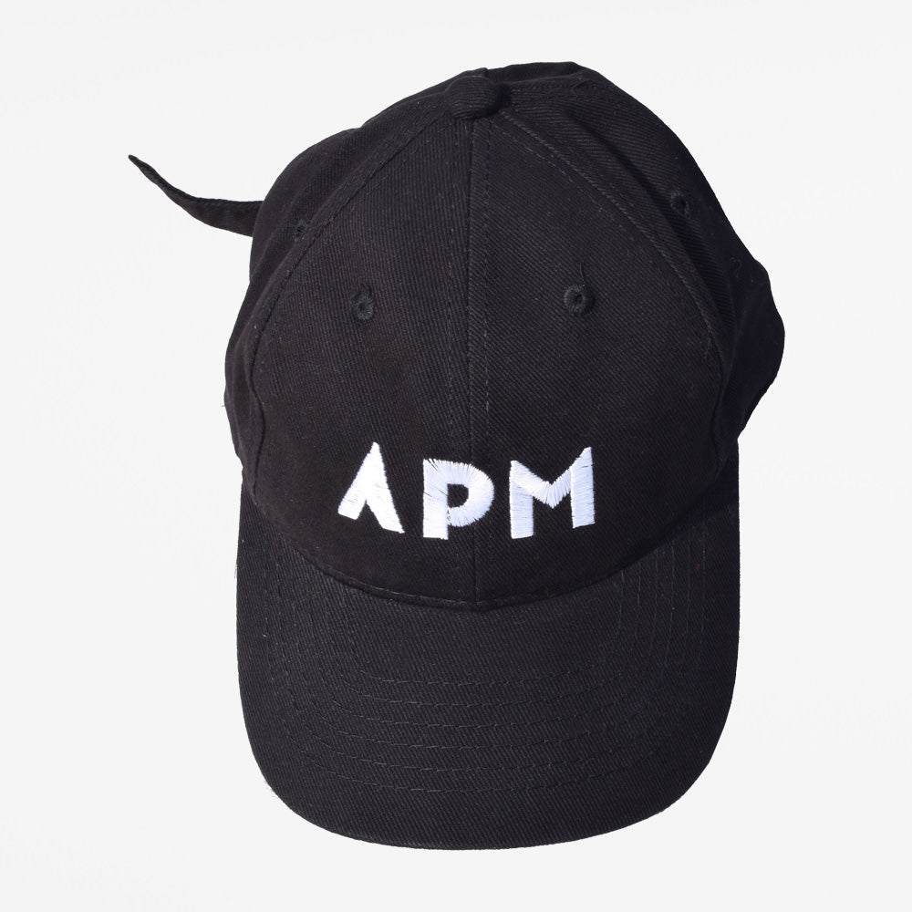APM dad hat